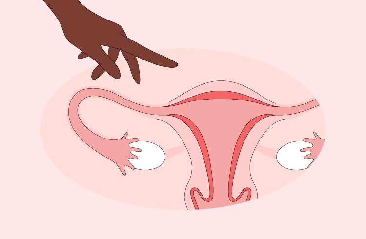 uterine lining and fertility page
